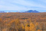 Forest in autumn colors and Eastern Mountains in the background. Peninsula Kamchatka, Russia.