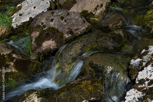 Fresh Water Of An Alpine River