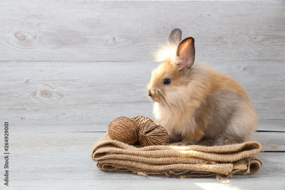 cute brown easter bunny rabbit on sackcloth with wood background cute brown easter bunny rabbit on sackcloth with wood background