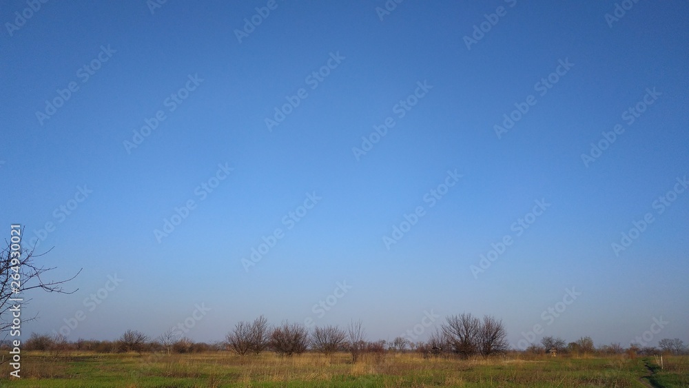 Obraz premium Rural landscape. Spring. Box. The Earth and the sky. Green grass.
