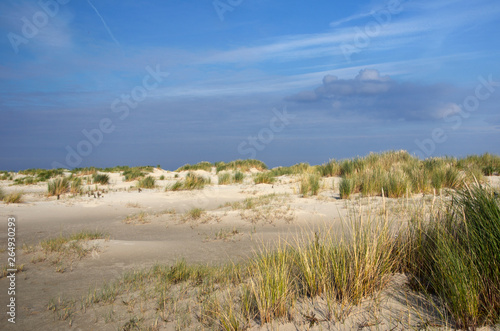 view to the north sea beach  island langeoog