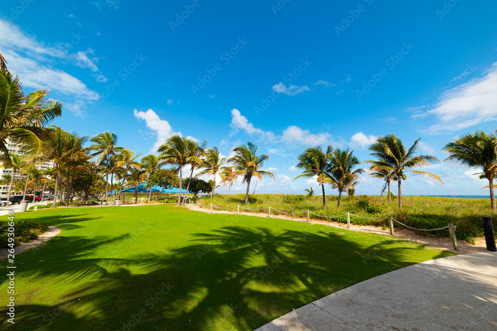 Green grass and palm trees in Pompano Beach