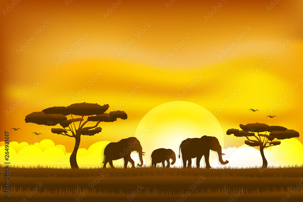 Paper art and digital craft style of world elephant Day , elephant in the grass sunrise , Vector illustration.