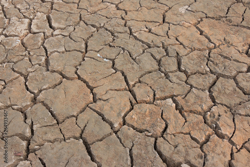 Drought, earth cracks, natural disaster