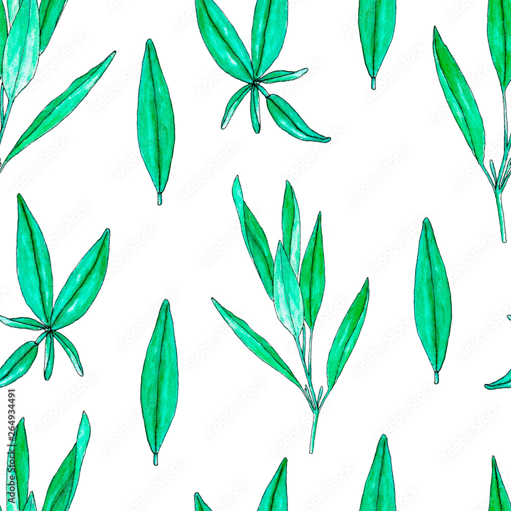 Seamless pattern with hand painted watercolor sage isolated on white. Repeating background with herbs for textile, packaging or scrapbooking. Seamless pattern with hand painted watercolor sage isolated on white. Repeating background with herbs for textile, packaging or scrapbooking.