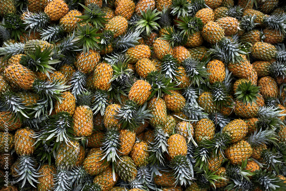 Fototapeta premium Large harvest of fresh pineapples stacked in pile