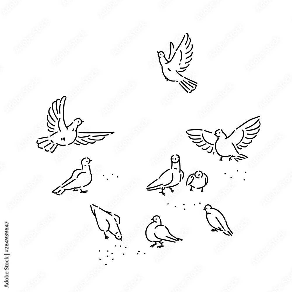 Obraz premium Flock of urban wild pigeons pecks seeds. Set flying and sitting birds line art style character vector black white isolated illustration.
