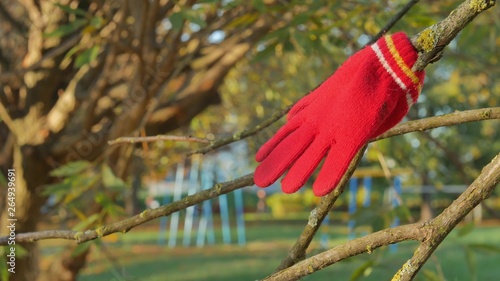 Red children's glove hanging on a branch in the autumn in the park as a symbol of loss