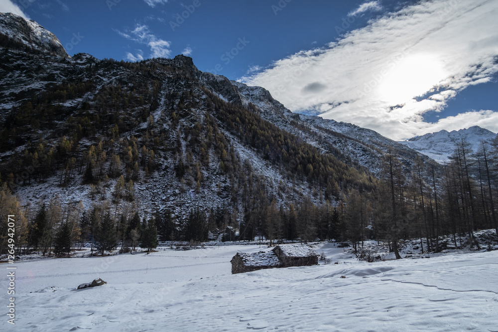 Sunny Winter Day In The Alps