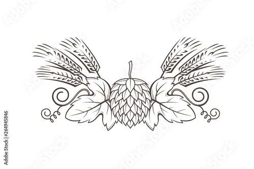 black illustration of hop and barley for brewing isolated on white background