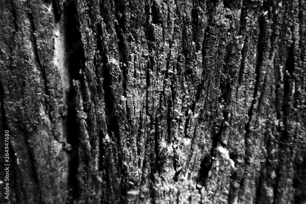 Obraz premium Beautiful rock wood and stone abstract texture background and wallpaper