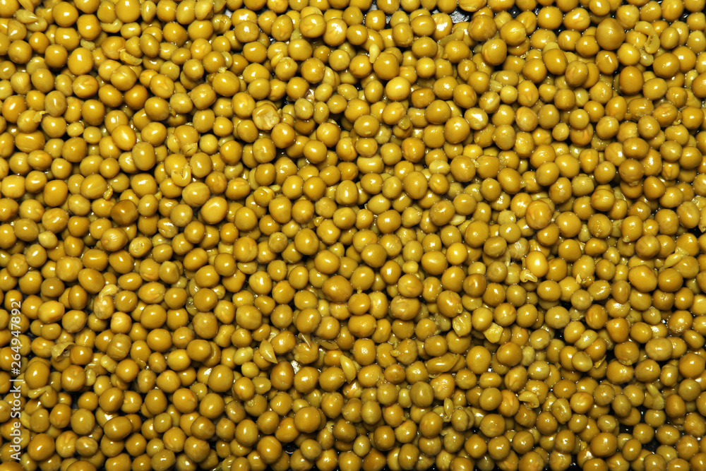 Green peas full background Green peas full background