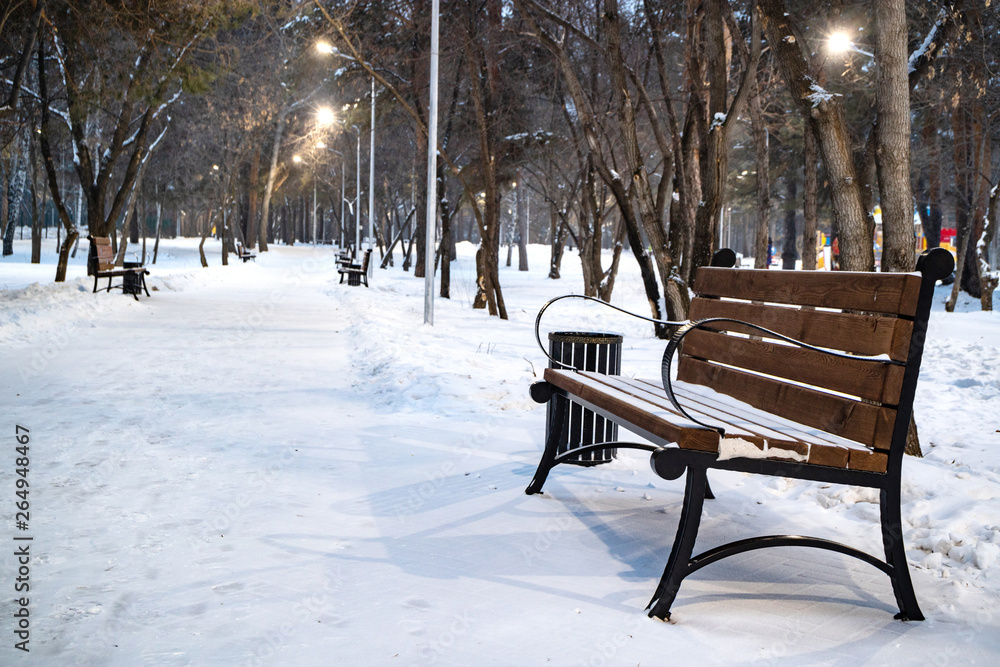 bench with Park in winter around a lot of snow