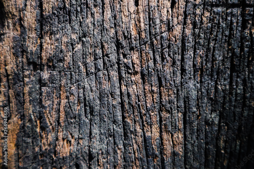 Obraz premium Beautiful rock wood and stone abstract texture background and wallpaper
