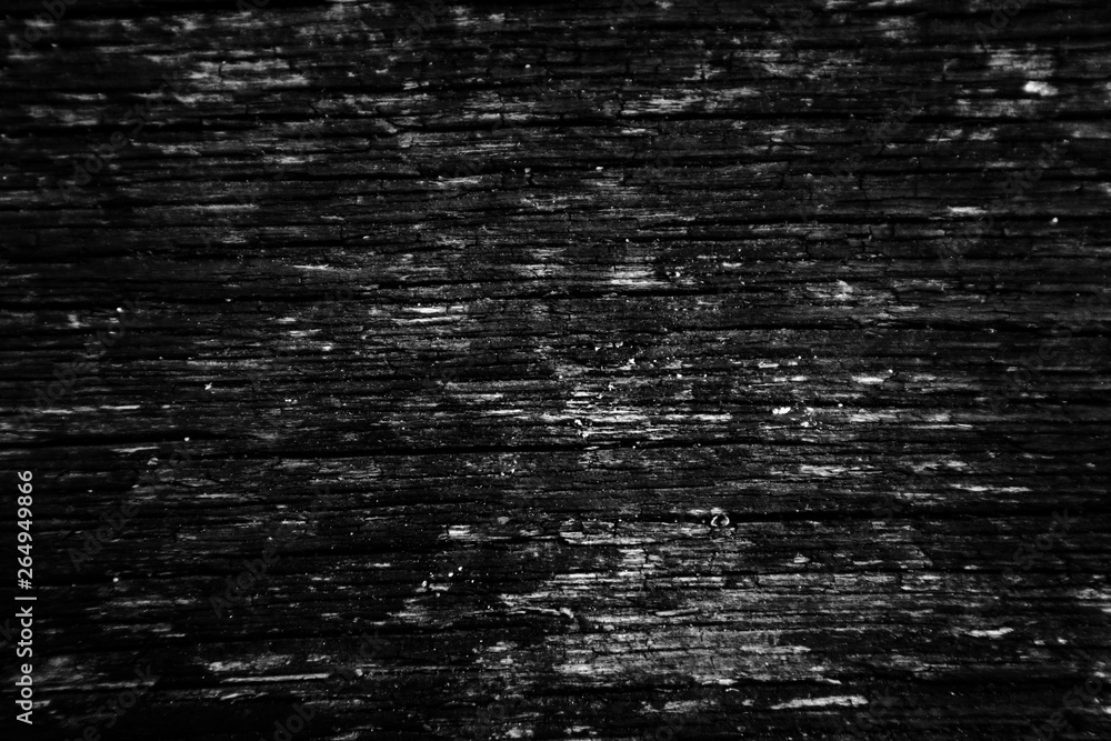 Obraz premium Beautiful rock wood and stone abstract texture background and wallpaper