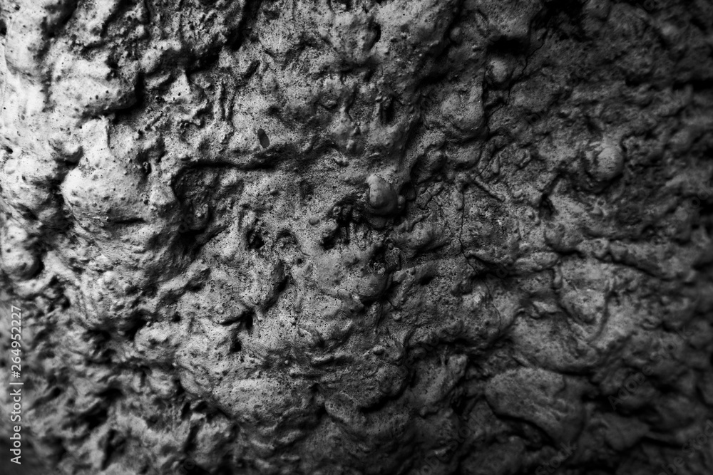 Beautiful rock wood and stone abstract texture background and wallpaper Beautiful rock wood and stone abstract texture background and wallpaper