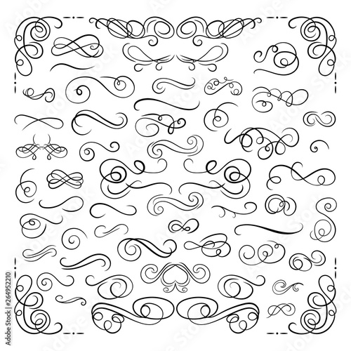 Vector Design Elements Set, Scrolls and Swirls, Drawn Calligraphic Swirly Lines Isolated on White Background, Book Decorations, Romantic Elements.