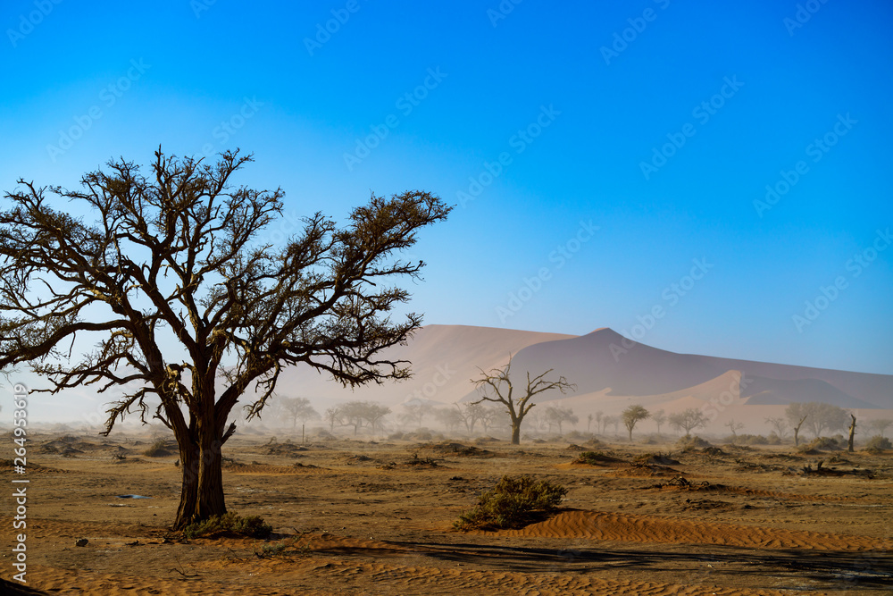 Stürmiger Tag in der Wüste