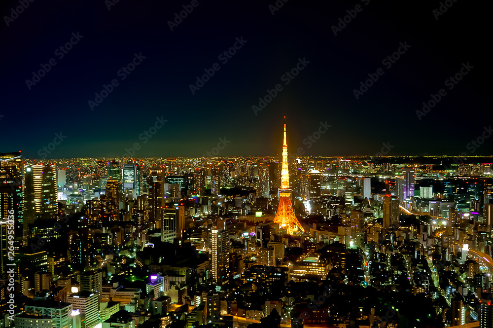 東京の夜