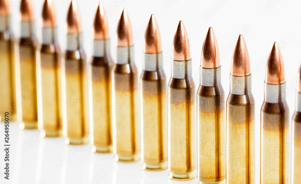 Hunting cartridges of caliber. 308 Win Hunting cartridges of caliber. 308 Win