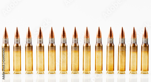 Hunting cartridges of caliber. 308 Win