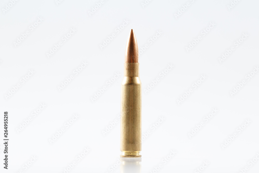 Hunting cartridges of caliber .308 Win Hunting cartridges of caliber .308 Win