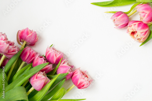 Fototapeta Naklejka Na Ścianę i Meble -  Pink flowers tulips bouquet of flowers on a white background.