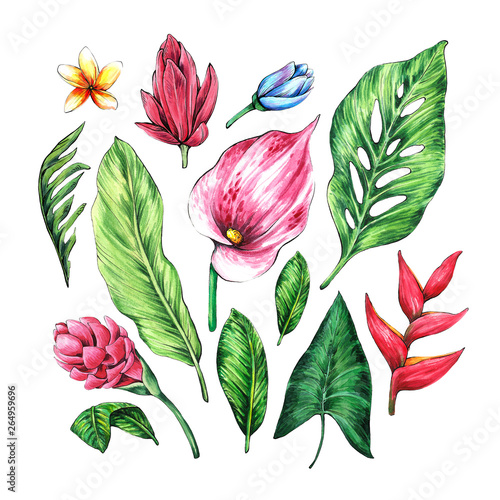 Set of tropical leaves and flowers. Watercolor and graphics handmade.