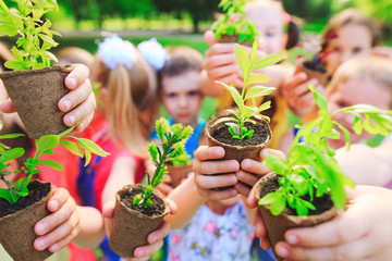 People Hands Cupping Plant Nurture Environmental