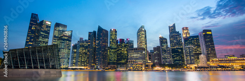 Panorama of Singapore skyline of the financial district by night © Delphotostock