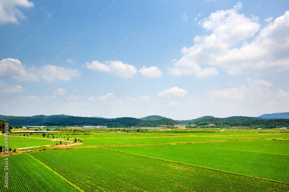 This is a rice paddy in Hamyang County, Korea. This is a rice paddy in Hamyang County, Korea.