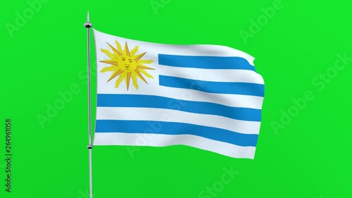 Flag of the country   Uruguay on green background. 3D rendering
