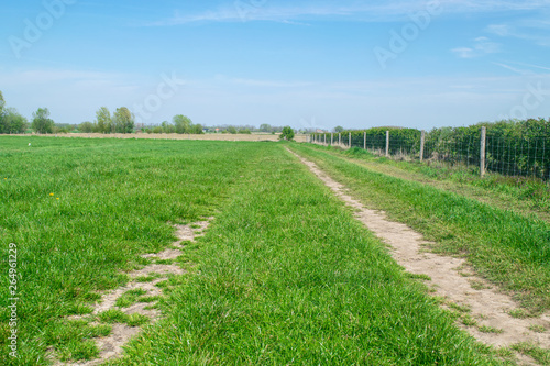 Country road in grass meadown