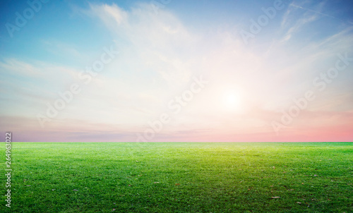 Grass field landscape panoramic