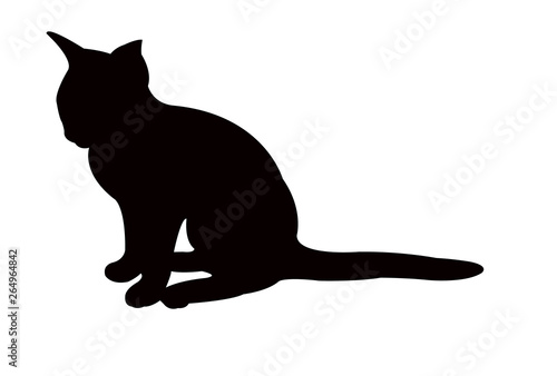 a cat body silhouette vector