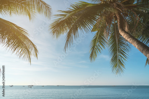 Coconut plam tree with sun and blue sky at tropical beach, Summer vacation concept