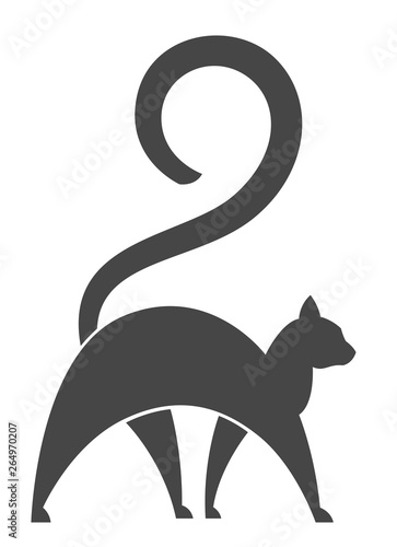 Walking cat on a white background