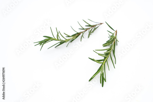 a branch of rosemary on white
