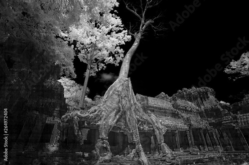 Ruins of Bakong Temple in Cambodia in black and white infrared