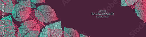Colorful  background with leaves. Nature banner. Frame with plants. Template 