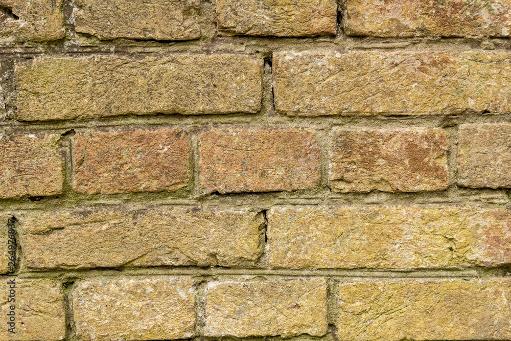 Fototapeta premium brick wall texture grunge background