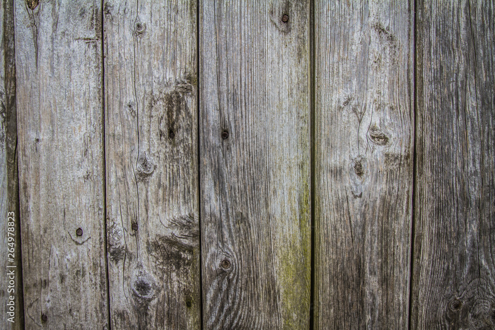 Fototapeta premium Wooden background - planks in a close up