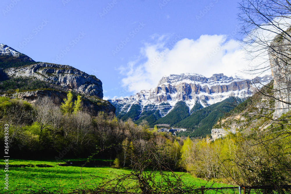 La naturaleza en los Pirineos de España