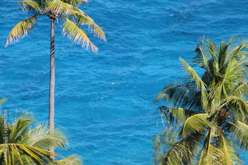 seychelles private island beach sun