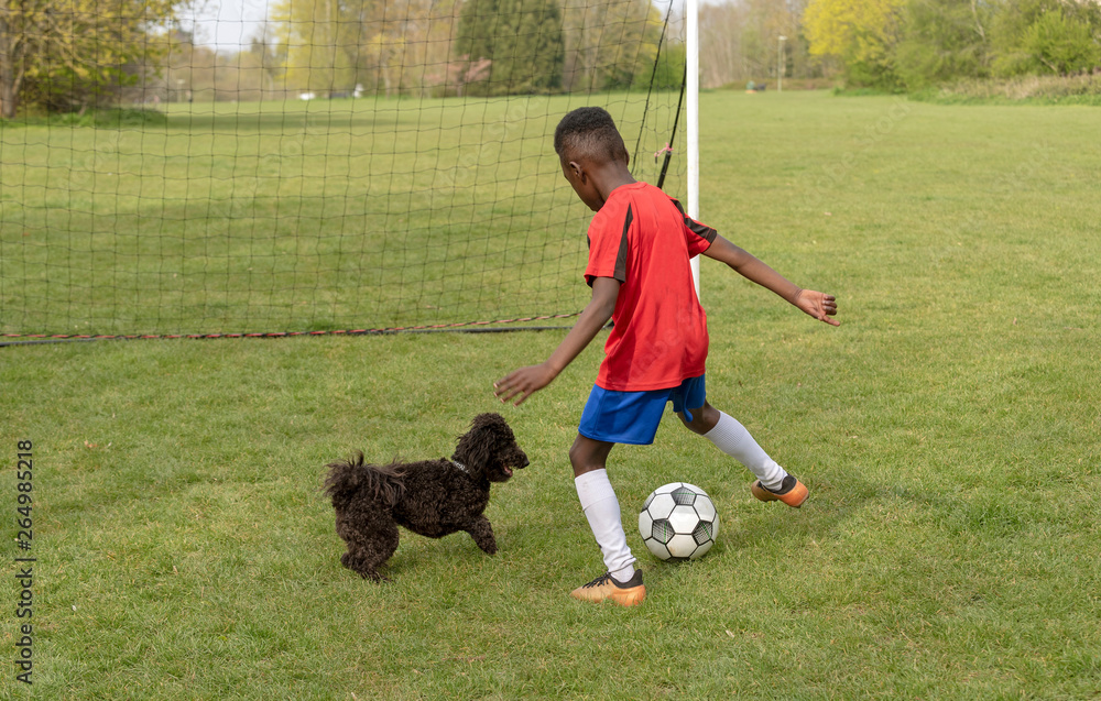 Hampshire, England, UK. April 2019. A young football player defending the goal during a traning session with his pet dog in a public park.