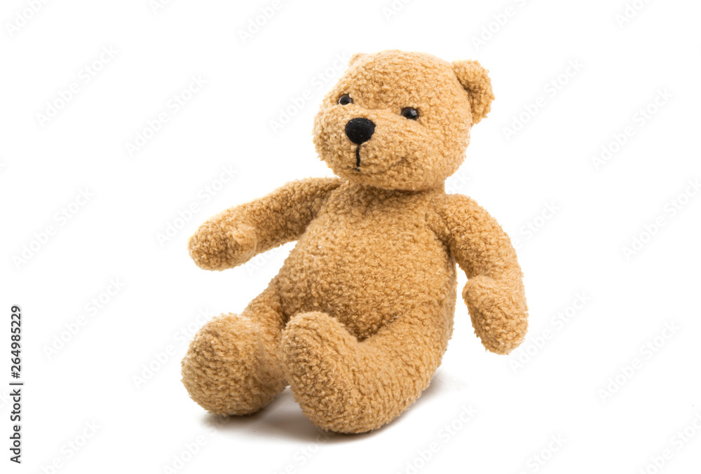 Fototapeta premium soft bear isolated