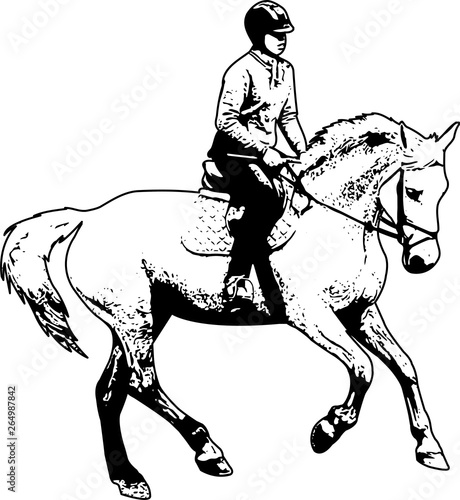 horse riding sketch illustration