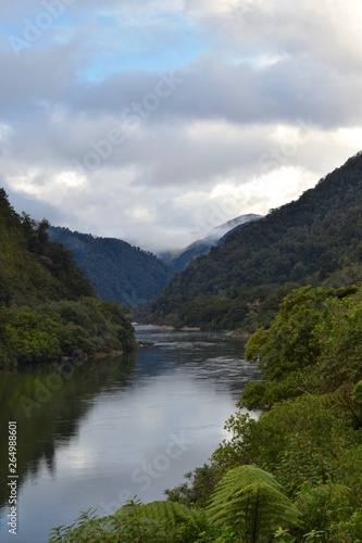 Fototapeta Naklejka Na Ścianę i Meble -  New Zealand River