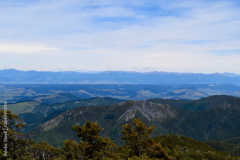 New Zealand Landscape New Zealand Landscape
