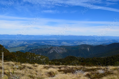 New Zealand Landscape